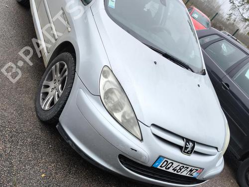 Left front door PEUGEOT 307 (3A/C) 1.6 HDi 110 | BP31198890C2 