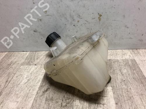 Used Expansion tank RENAULT TWINGO II (CN0_) 1.5 dCi 75 (75 hp) 23871230