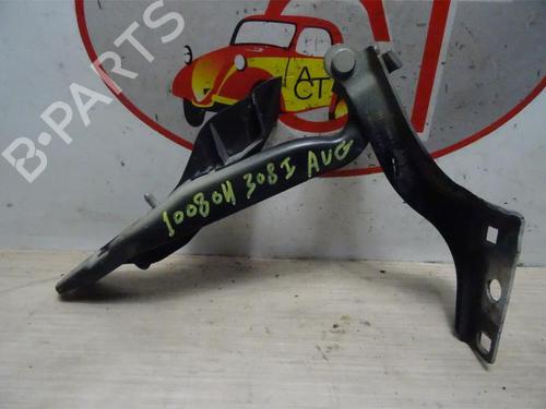 Hinge/Door check strap PEUGEOT 308 I (4A_, 4C_) 1.6 HDi | BP13261798C146 