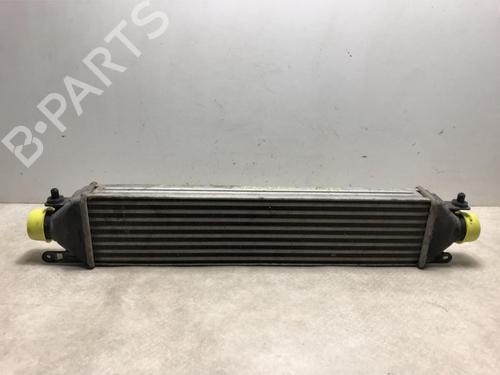 Used Intercooler FIAT BRAVO II (198_) 1.6 D Multijet (198AXH1B) (105 hp) 25799781