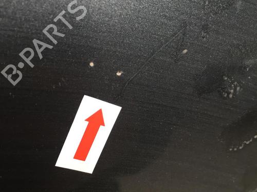 Hood RENAULT VEL SATIS (BJ0_) 2.2 dCi (BJ0E, BJ0F, BJ0G, BJ0H) | BP31203404C1