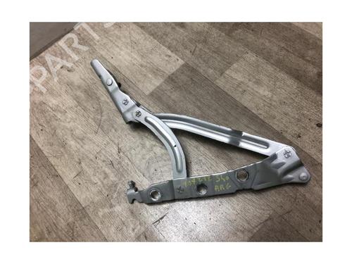 Hinge/Door check strap VOLVO S40 II (544) 1.6 D | BP20619171C146