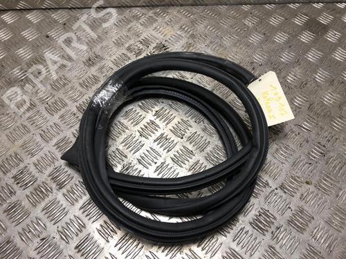 Gummiliste RENAULT KOLEOS I (HY_) 2.0 dCi (HY0K) (150 hp) 31200646