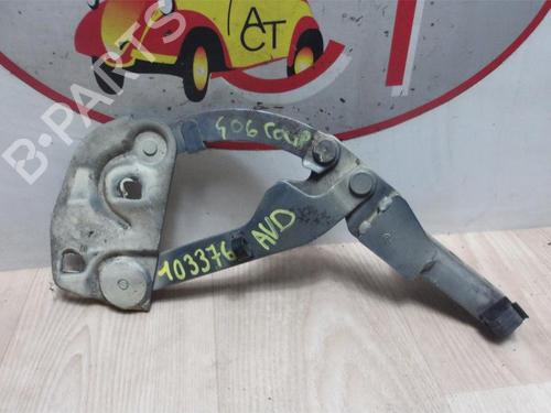 Used Hinge/Door check strap PEUGEOT 406 Coupe (8C) 2.0 16V (136 hp) 13263607
