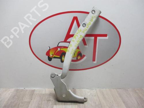 Hinge/Door check strap FIAT GRANDE PUNTO (199_) 1.3 D Multijet | BP25799513C146 