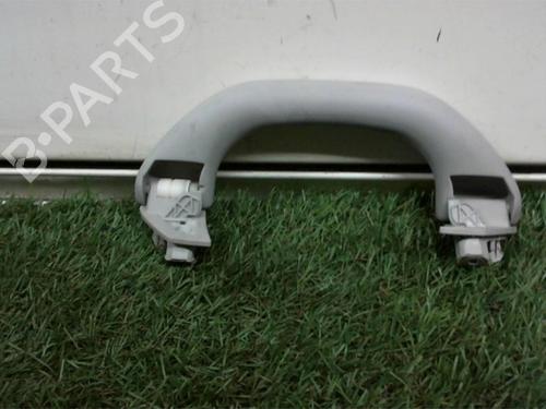 Innvendig takhåndtak VW GOLF V (1K1) 1.9 TDI | BP12976972I35 