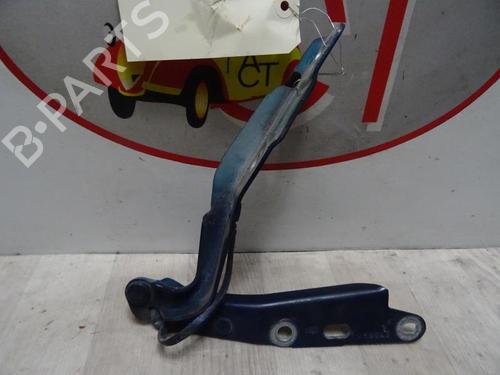 Used Hinge/Door check strap JAGUAR S-TYPE II (X200) 3.0 V6 (238 hp) 13130002