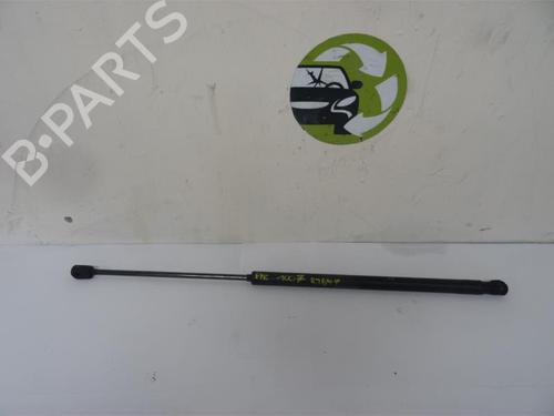 Used Tailgate lift support PEUGEOT 1007 (KM_) 1.4 HDi (68 hp) 20612419