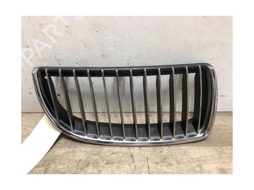 Grille BMW 3 (E90) 325 i | BP23872413C40 