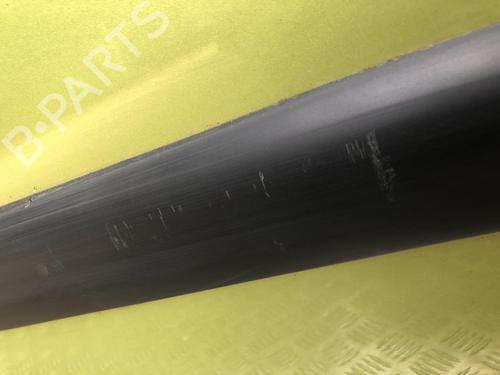 Left front door PEUGEOT 1007 (KM_) 1.4 HDi | BP24872933C2 