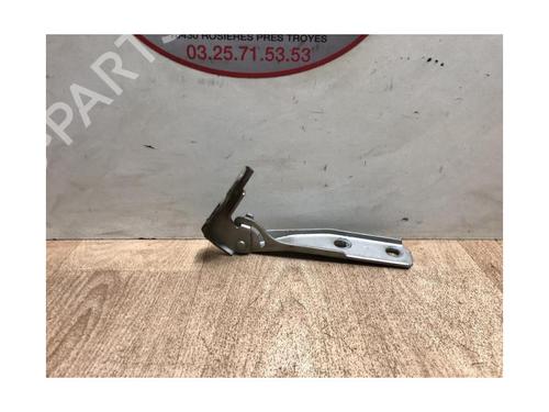 Hinge/Door check strap AUDI A3 Sportback (8PA) 1.9 TDI | BP13266841C146 