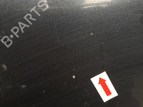 Hood RENAULT VEL SATIS (BJ0_) 2.2 dCi (BJ0E, BJ0F, BJ0G, BJ0H) | BP31203404C1