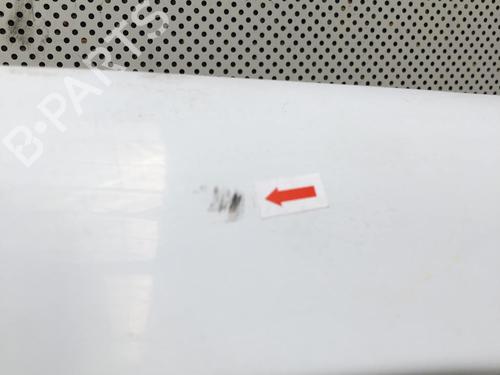 Left front door NISSAN PRIMASTAR Van (X83) 2.0 dCi 115 | BP31202847C2