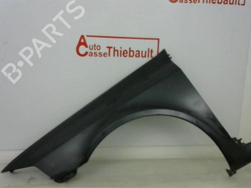 Left front fenders RENAULT LAGUNA II (BG0/1_) 1.9 dCi (BG08, BG0G) | BP20096335C41 