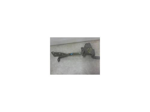 Used Hinge/Door check strap RENAULT SCÉNIC III (JZ0/1_) 1.5 dCi (110 hp) 13134426