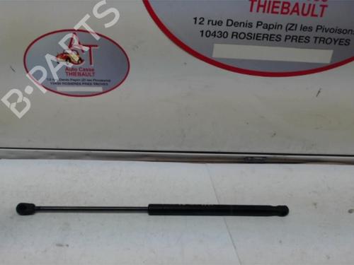 Tailgate lift support CITROËN C2 (JM_) 1.4 HDi | BP20625041C138 