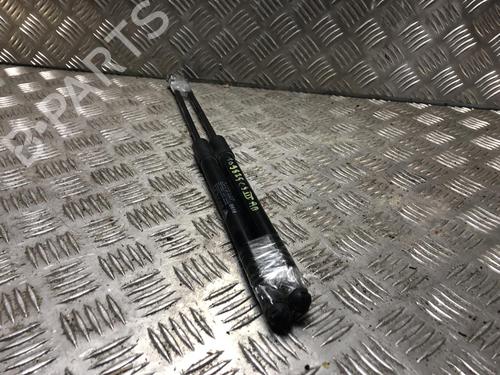 Tailgate lift support CITROËN C3 III (SX) 1.2 VTi 82 | BP31204117C138