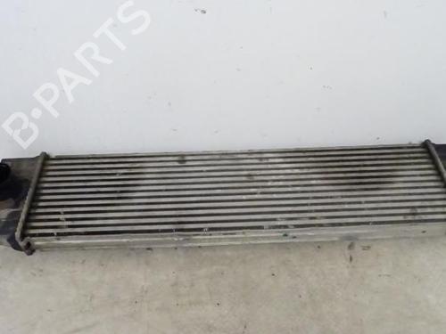 Intercooler RENAULT MASTER II Platform/Chassis (ED/HD/UD) 2.5 dCi (HD02) (101 hp) 31195536