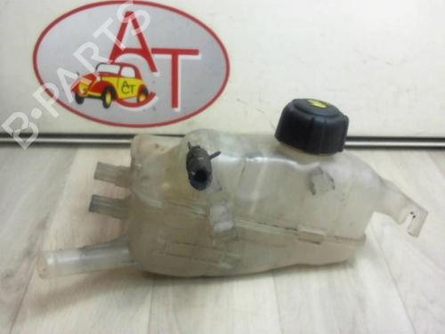 Used Expansion tank RENAULT MEGANE III Hatchback (BZ0/1_, B3_) 1.5 dCi (BZ09, BZ0D, BZ1W, BZ29, BZ14) (110 hp) 13273798