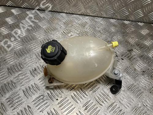 Used Expansion tank Expansion tank RENAULT CAPTUR I (J5_, H5_) 1.3 TCe 150 (J5NK, J5JS) (150 hp) 36166952 36166952