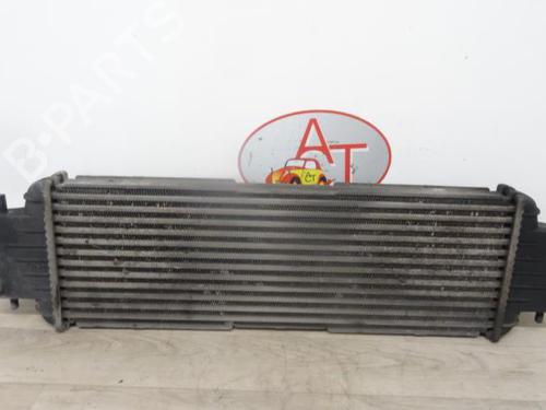 Intercooler RENAULT TRAFIC II Van (FL) 1.9 dCi 80 (FL0B) (82 hp) 13271024