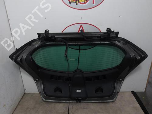 Tailgate RENAULT VEL SATIS (BJ0_) 2.0 dCi (BJ03) | BP13269801C6 