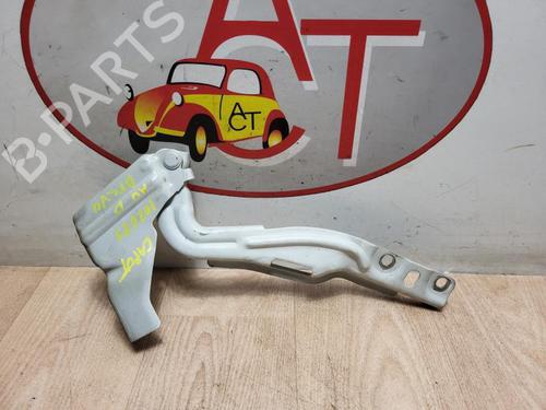 Used Hinge/Door check strap FIAT BRAVO II (198_) 1.6 D Multijet (198AXH1B) (105 hp) 13262748