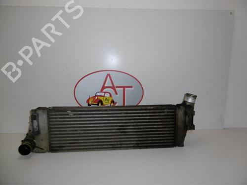 Intercooler RENAULT MEGANE II (BM0/1_, CM0/1_) 1.5 dCi (BM1E, CM1E) | BP13271030M30 
