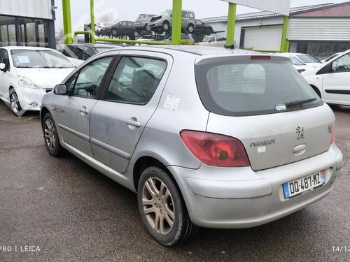 Left front door PEUGEOT 307 (3A/C) 1.6 HDi 110 | BP31198890C2 