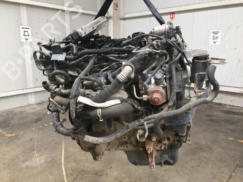 Engine FORD FIESTA VI (CB1, CCN) 1.4 TDCi | BP23186551M1 