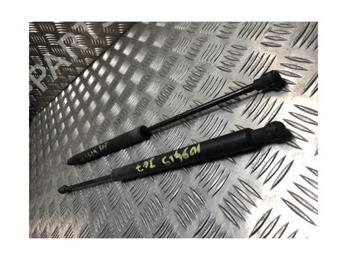 Tailgate lift support PEUGEOT 307 (3A/C) 1.6 HDi 110 | BP25824905C138 