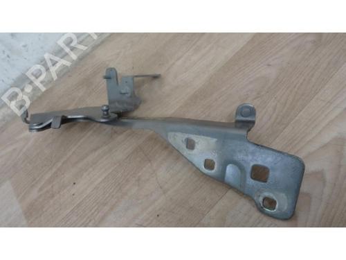 Hinge/Door check strap RENAULT SCÉNIC III (JZ0/1_) 1.6 E85 (JZ03, JZ1Y) | BP13130554C146 