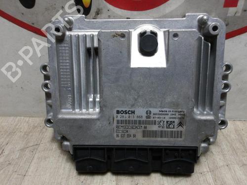 Engine control unit (ECU) PEUGEOT 207 (WA_, WC_) 1.6 HDi | BP31195572M57