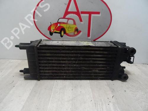 Intercooler CITROËN C5 III Break (RW_) 1.6 HDi 115 | BP29194098M30