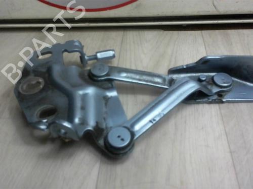 Hinge/Door check strap VW PASSAT B6 (3C2) 2.0 FSI | BP27464802C146 