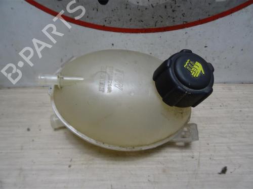 Expansion tank DACIA LODGY (JS_) 1.5 dCi (JSMC, JSAF) | BP13274055C120 
