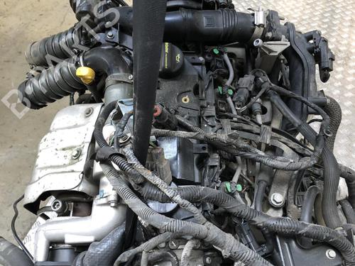 Motor FORD B-MAX (JK) 1.6 TDCi | BP31196566M1