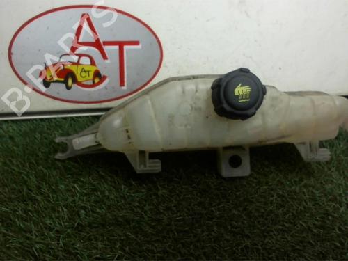 Used Expansion tank RENAULT CLIO III (BR0/1, CR0/1) 1.5 dCi (BR17, CR17) (86 hp) 13273762