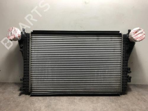 Ladeluftkühler für VW GOLF PLUS V (5M1, 521) 1.9 TDI (90 hp) 28504982