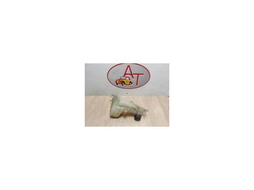 Used Expansion tank RENAULT LAGUNA III (BT0/1) 1.5 dCi (BT00, BT0A, BT0T, BT1J) (110 hp) 13274120