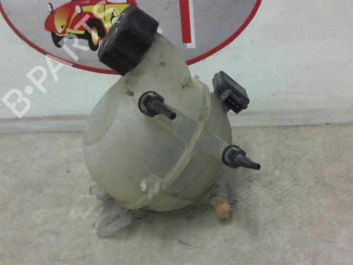 Expansion tank RENAULT MEGANE III Hatchback (BZ0/1_, B3_) 1.5 dCi (BZ09, BZ0D, BZ1W, BZ29, BZ14) | BP13274079C120