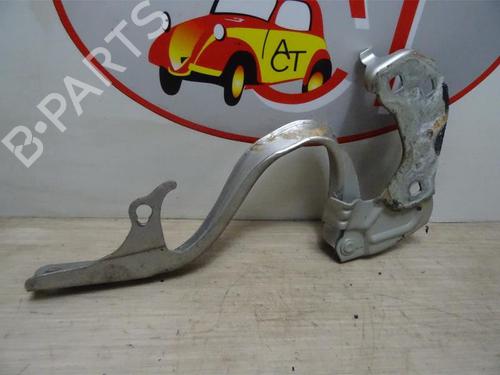 Hinge/Door check strap FIAT 500 (312_) 1.4 (312AXC1B, 312CXC1B) | BP23127970C146