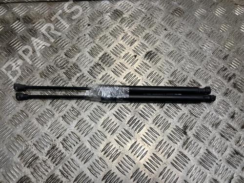 Tailgate lift support RENAULT CLIO IV (BH_) 1.2 16V | BP31244575C138