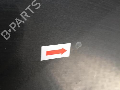 Hood RENAULT VEL SATIS (BJ0_) 2.2 dCi (BJ0E, BJ0F, BJ0G, BJ0H) | BP31203404C1