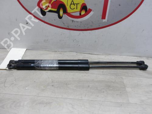 Tailgate lift support RENAULT CLIO IV (BH_) 1.5 dCi 75 | BP20620603C138 