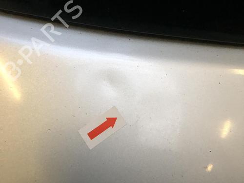 Tailgate RENAULT CLIO III (BR0/1, CR0/1) 1.5 dCi | BP31199979C6