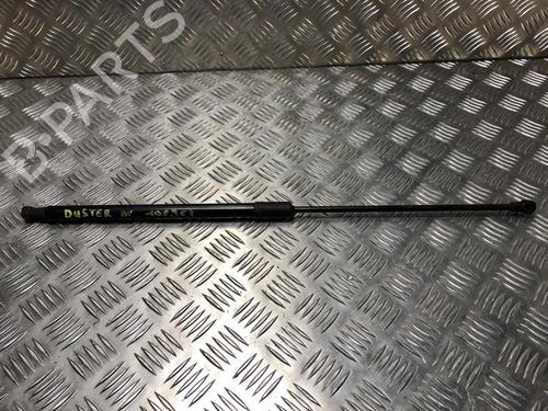 hood-lift-support-dacia-duster-hs_-2010-2011-2012-2013-2014-2015-2016-2017-2018-26731589 main image