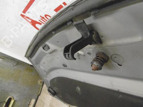 Capot RENAULT ESPACE IV (JK0/1_) 2.0 dCi (JK01, JK02, JK1J, JK1K, JK1H) | BP30782586C1