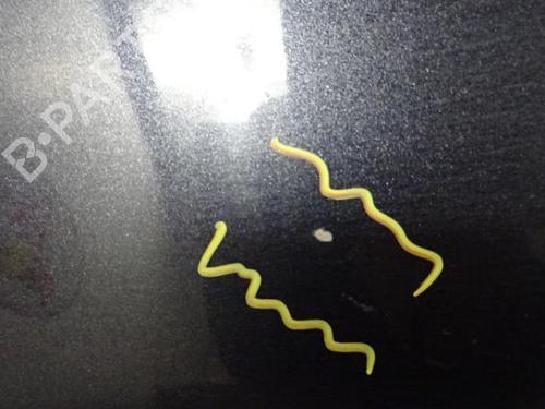 Left front door SUBARU IMPREZA Hatchback (GR, GH, G3) 2.0 D AWD | BP30783509C2 