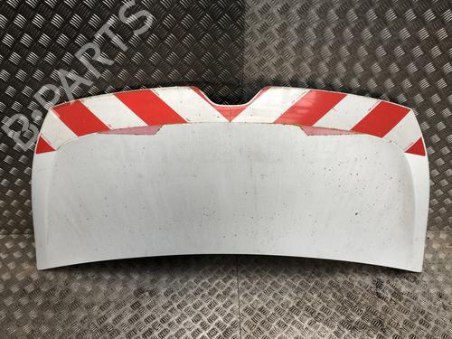 Used Hood Hood RENAULT MASTER III Van (FV) 2.3 dCi 110 FWD (FV0R, FV0W, FV1A) (110 hp) 36490345 36490345